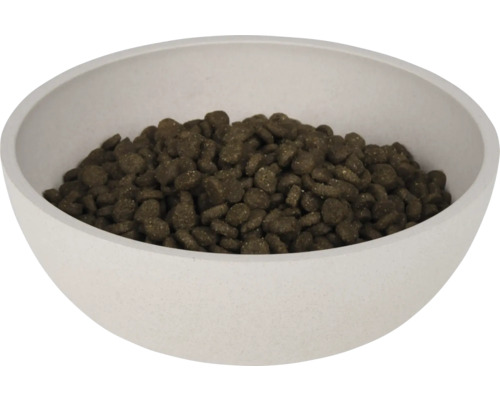 Bol avec nourriture sèche pour chiens ou chats