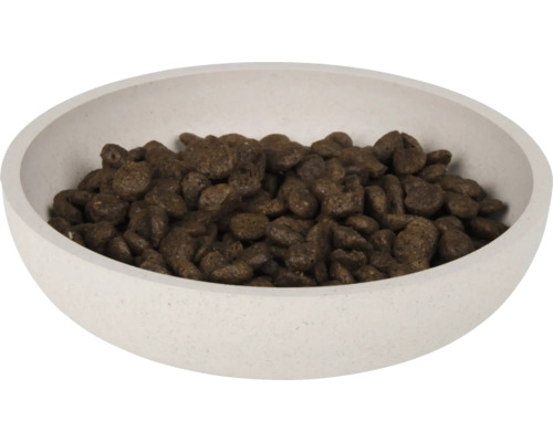 Nourriture pour chiens dans un bol