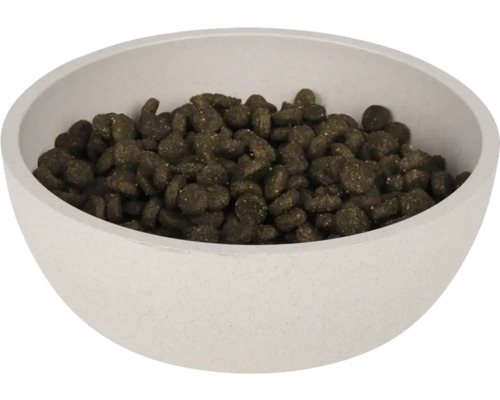 Gamelle remplie de nourriture sèche pour animaux