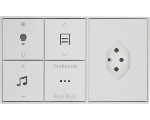 Haussteuerungselement zur Steuerung von Licht, Garage und Musik