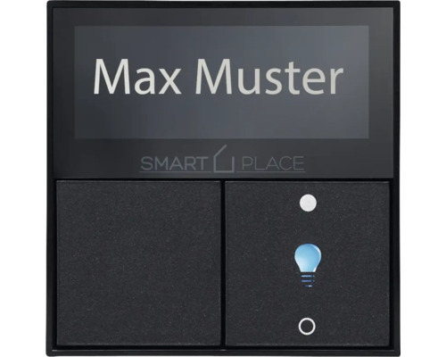 smart PLACE Displaytaster 2-fach digitaler Beschriftung schwarz