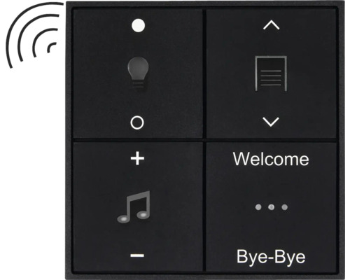 Schwarzes Bedienfeld mit Tasten für Licht, Musik und Garagentorsteuerung