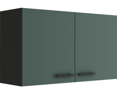 Armoire suspendue Optifit Verona405 lxpxh 100 x 34,6 x 57,6 cm vert mat démontée Meuble haut avec deux portes et poignées