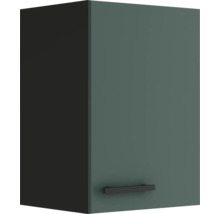 Optifit Hängeschrank Verona405 BxTxH 40x34,6x57,6 cm grün matt zerlegt Anschlag reversibel (links oder rechts montierbar)