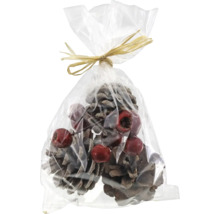 Décoration avec pommes de pin et baies dans un emballage transparent