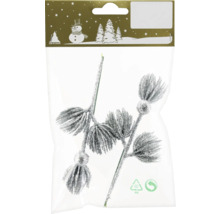 Branche décorative avec applications pailletées dans l''emballage