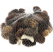 Kiefernzapfen in einem Netz