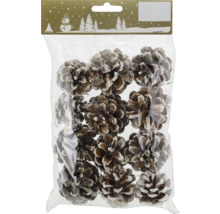 Paquet de pommes de pin pour décoration de Noël