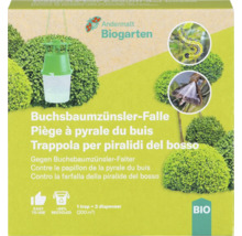 Packung Buchsbaumzünslerfalle mit der Aufschrift Andermatt Biogarten