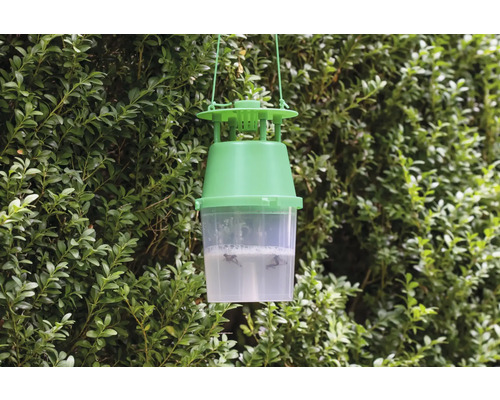 Fliegenfalle zur Schädlingsbekämpfung im Aussenbereich.