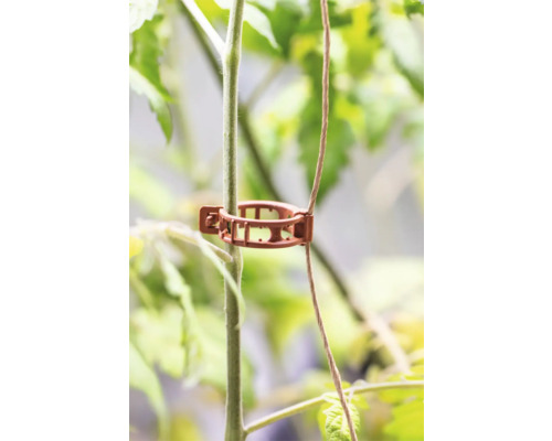 Attache pour plante soutenant une pousse