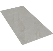 MIRAVA NARVIK Feinsteinzeug Wand- und Bodenfliese silver BxLxS 30x60x0.85 cm