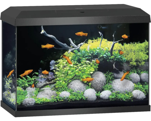 Aquarium JUWEL Primo 70 avec couvercle, éclairage LED, chauffage, filtre sans meuble bas noir