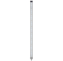 Roll-Up-Display