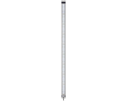 Roll-Up-Display