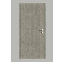 Porte intérieure grise avec poignée