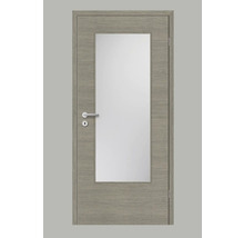 Innentür mit Glaseinsatz und Drückergarnitur