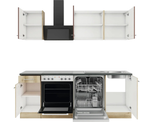 Cuisine équipée avec éléments hauts, hotte aspirante, évier, lave-vaisselle et cuisinière