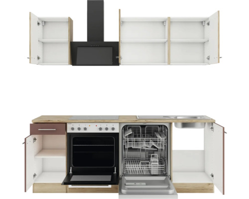 Cuisine équipée avec éléments hauts, hotte aspirante, évier, lave-vaisselle et cuisinière