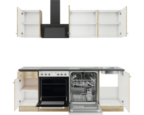 Küchenzeile mit Dunstabzugshaube, Geschirrspüler, Herd und Hängeschränken