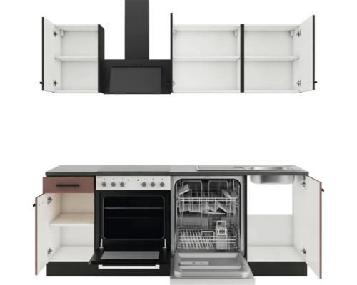 Küchenzeile mit Hängeschränken, Dunstabzugshaube, Spüle, Geschirrspüler und Backofen