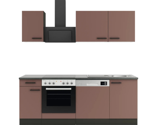 Küchenzeile mit Spüle, Herd, Dunstabzugshaube und Hängeschränken