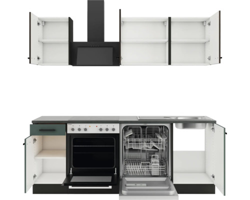 Küchenzeile mit Spüle, Geschirrspüler, Herd und Dunstabzugshaube sowie Hängeschränken