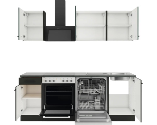 Küchenzeile mit Spüle, Geschirrspüler, Backofen, Dunstabzugshaube und Schränken