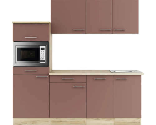 Cuisine équipée avec évier et micro-ondes