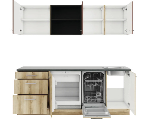 Cuisine équipée avec évier, lave-vaisselle, réfrigérateur, tiroirs et armoires murales