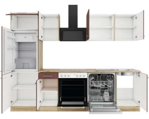 Cuisine équipée avec évier, cuisinière, hotte, réfrigérateur et lave-vaisselle