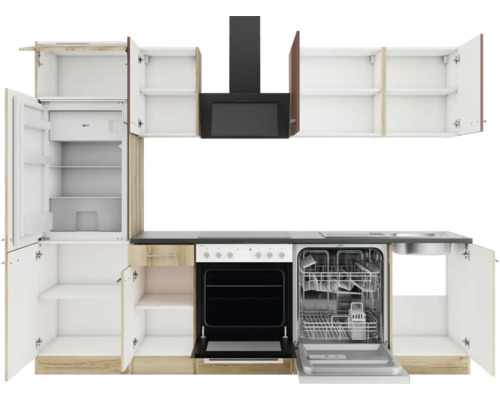 Cuisine équipée avec réfrigérateur, lave-vaisselle, cuisinière et hotte aspirante.