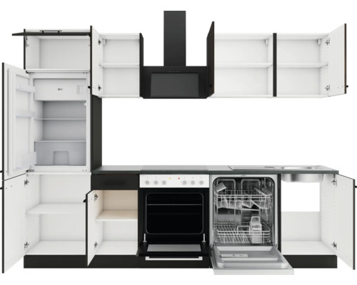 Küchenzeile mit Kühlschrank, Geschirrspüler, Herd, Dunstabzugshaube und Hängeschränken