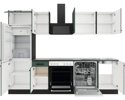 Einbauküche mit Geschirrspüler, Kühlschrank, Herd und Dunstabzugshaube