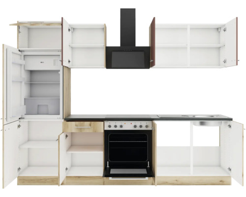 Cuisine équipée avec réfrigérateur, cuisinière, évier et hotte aspirante