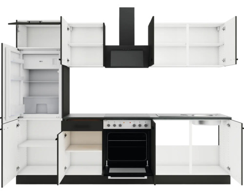 Küchenzeile mit Kühlschrank, Spüle, Herd, Backofen, Dunstabzugshaube und Schränken