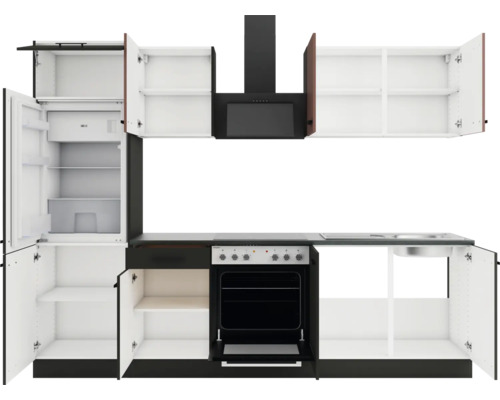 Einbauküche mit Kühlschrank, Herd, Spüle und Dunstabzugshaube