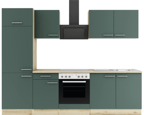 Cuisine équipée avec hotte aspirante, cuisinière et armoires