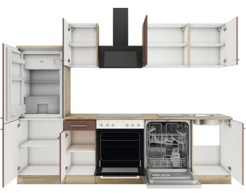 Cuisine équipée avec réfrigérateur, cuisinière, lave-vaisselle et hotte aspirante