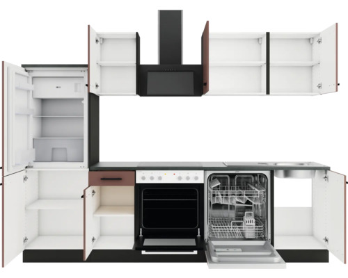 Küchenzeile mit Kühlschrank, Geschirrspüler, Herd, Dunstabzugshaube und Schränken