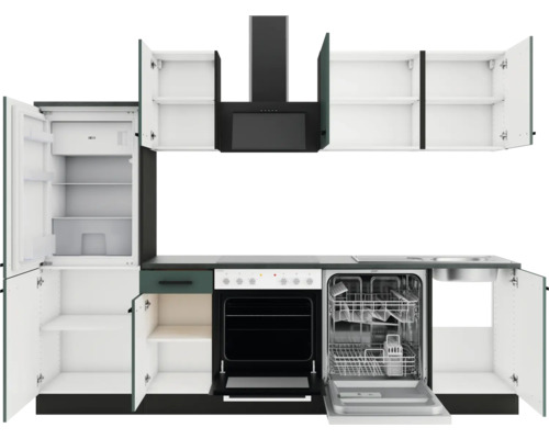 Cuisine équipée avec réfrigérateur, lave-vaisselle, cuisinière, évier et hotte aspirante avec portes d''armoire ouvertes