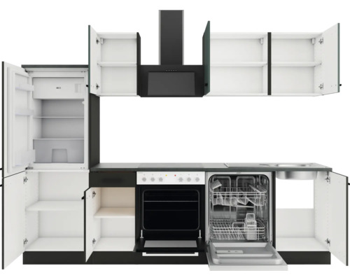 Komplette Küche mit Kühlschrank, Geschirrspüler, Herd, Dunstabzugshaube und Schränken