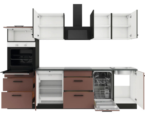 Küchenzeile mit Backofen, Dunstabzugshaube, Kühlschrank, Spülmaschine, Spüle und Hängeschränken.