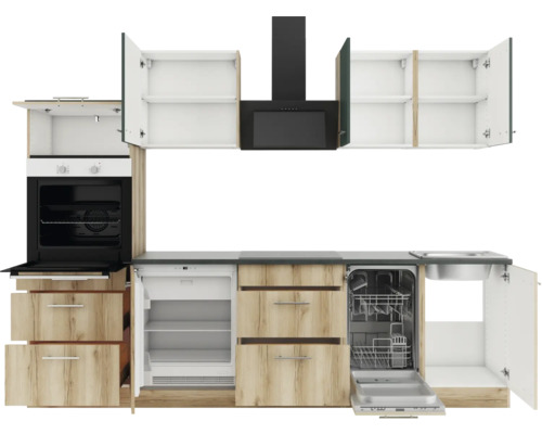 Cuisine équipée avec des appareils électriques tels qu''un four, un réfrigérateur, un lave-vaisselle et une hotte aspirante.