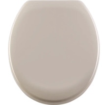 Toilettendeckel aus Kunststoff, ovale Form