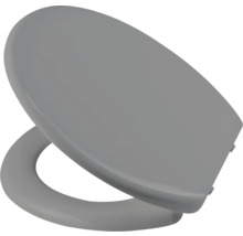 Grauer Toilettendeckel
