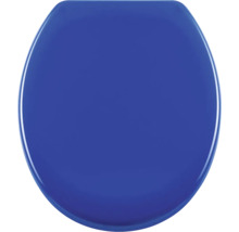 Blauer Toilettendeckel