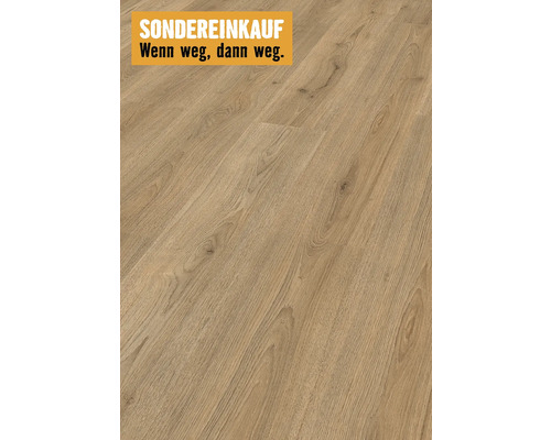 Stratifié 6.0 Trend chêne marron Basic Gros plan d''un sol stratifié avec grain de bois