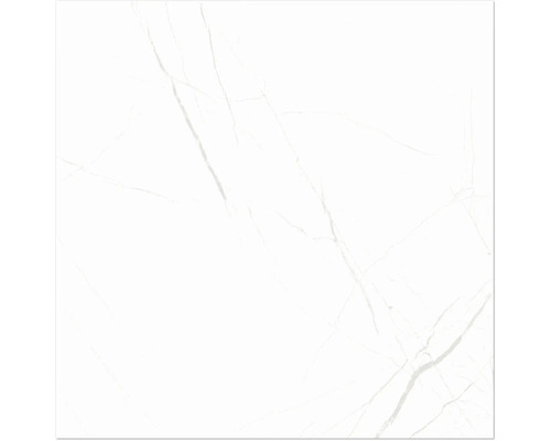 Steinzeug Wand- und Bodenfliese Davos white 60x60x0.9 cm glänzend