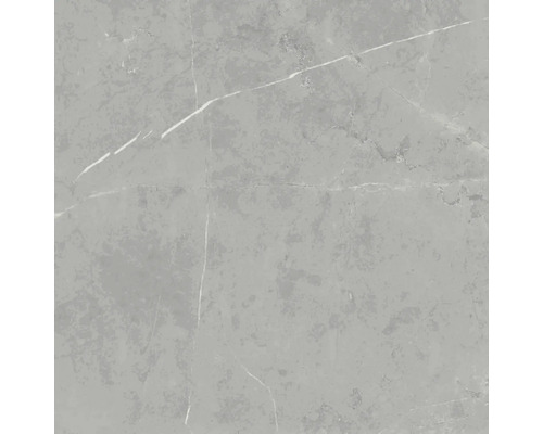 Carrelage sol et mur en grès-cérame Davos grey 60x60x0.9 cm brillant